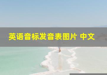 英语音标发音表图片 中文